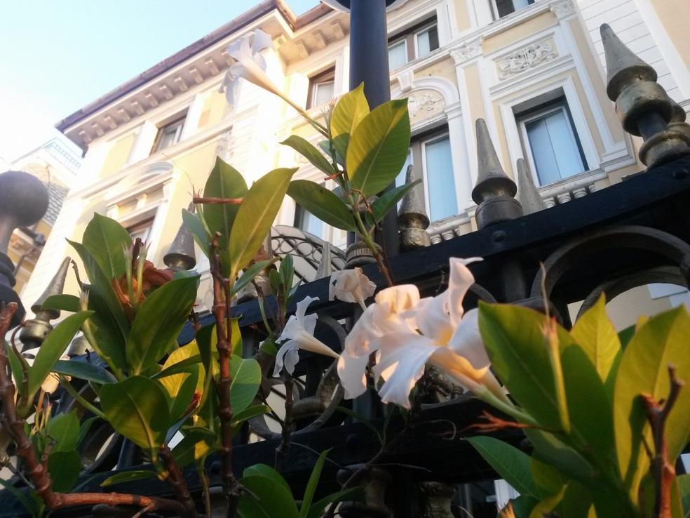 Ena Hotel Arenzano Exteriör bild